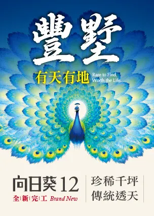 向日葵11