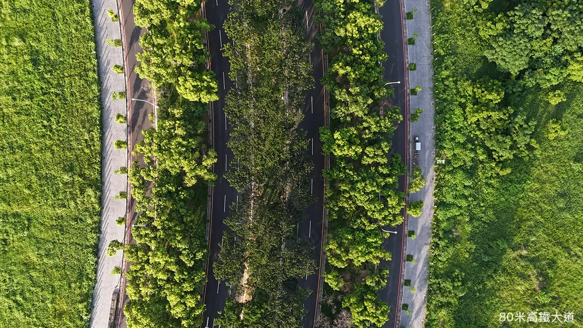 坐忘林建案圖輯 5